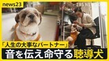 全国にわずか50頭 音を伝えて命を守る“聴導犬” 聞こえない世界を支える「人生の大事なパートナー」【news23】|TBS NEWS DIG