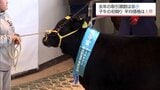 宮崎県内で今年初の子牛の競り　平均取引価格は去年より約18万円高い78万2900円余　|　MRTニュース ｜ ＭＲＴ宮崎放送