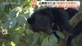 「目撃時期例年より早い…」　富山市がＧＷ前にクマ対策で連絡態勢確認　山菜取りは特に注意　もしもの準備を　|TBS NEWS DIG