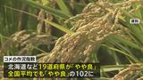 今年の全国のコメ作況「やや良」 岩手と宮城は「良」|TBS NEWS DIG