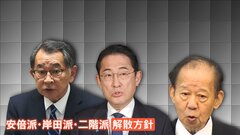 安倍派など3派閥解散　「派閥の解散は論点ずらし」批判の声も　「中間とりまとめの論点」“連座制”の適用も明記へ　自民党の裏金事件| TBS CROSS DIG with Bloomberg