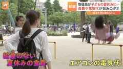 6月消費者物価指数が去年比3.3%上昇 電気代値上げが影響　今年度の家計負担は前年度より「9万円増加」の試算も　| TBS CROSS DIG with Bloomberg