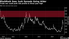 ブラックロック、クレジット市場のリスク上昇を警告－貿易戦争で| TBS CROSS DIG with Bloomberg
