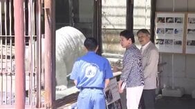 天皇皇后両陛下　愛媛県立とべ動物園でホッキョクグマ「ピース」と対面|TBS NEWS DIG