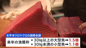 太平洋クロマグロ 大型魚の漁獲枠1.5倍で正式合意|TBS NEWS DIG