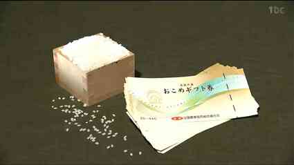 お米券」配布予定はありますか？全35市町村に聞いてみた…「もっと違う