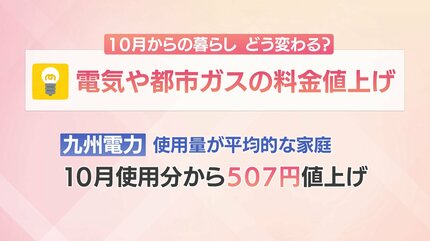 家計を直撃 秋の「値上げ」ラッシュ 食品・飲料は3000品目超が値上げ