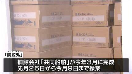 すぐ冷凍して品質の良いままお届けします」新しい捕鯨母船「関鯨丸
