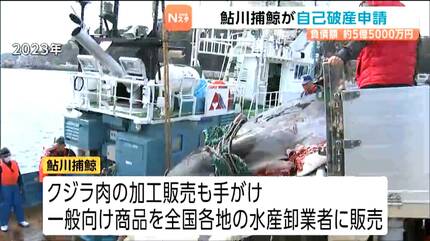 クジラの町で…商業捕鯨業者が自己破産申請 負債5億5000万円 宮城・石巻