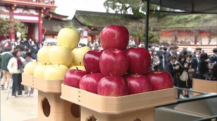 りんご860個を奉納 青森りんごの使節が太宰府天満宮に 98年から