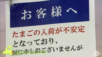 鳥インフルで卵の特売も中止 菓子店も悲鳴「卵の取り合い」 | 青森の
