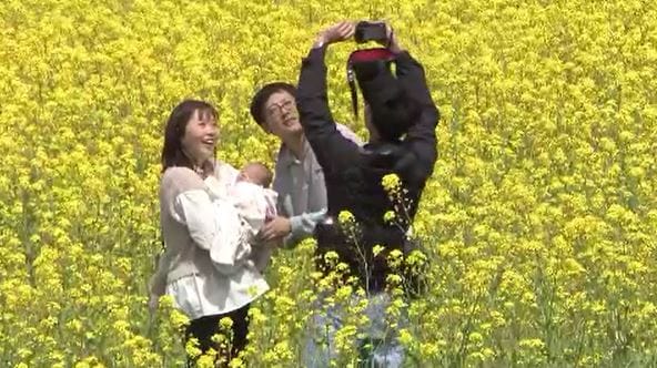 「あれっ、きょうって何で休みなの」大型連休締め括る6日が休日の訳とは？ 気になる2026年のゴールデンウィークでも6日が「活躍」MAX16連休も　　|TBS NEWS DIG