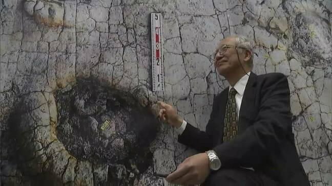 モンゴルで約1億2千万年前の大型恐竜の大量の足跡を発見 岡山理科大学などの研究チーム 恐竜の謎を解明する光に【岡山】 |TBS NEWS DIG