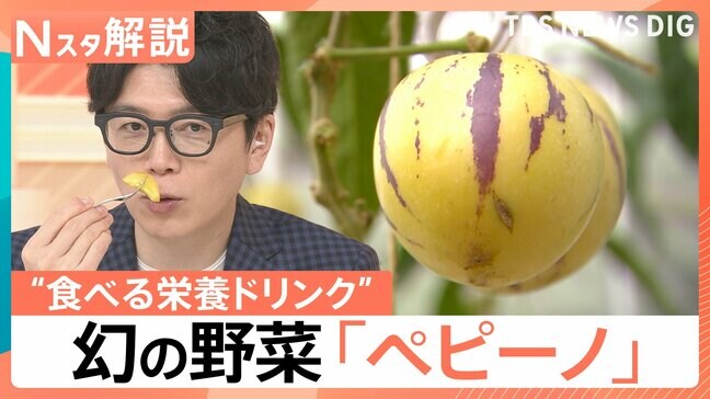 「日本では幻の果実」メロン?洋梨?野菜なのに甘い“食べる栄養ドリンク”と注目の新野菜「ペピーノ」【Nスタ解説】|TBS NEWS DIG