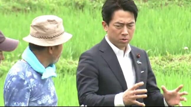 小泉進次郎農水大臣が能登半島地震の被災地で備蓄米の流通状況などを視察 農家の手取り増に向け“新米の適正価格での販売”を強調|TBS NEWS DIG