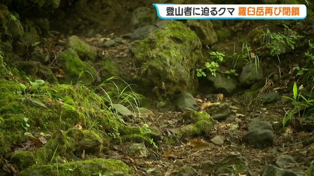 【クマ出没】登山者の男性に向かってくるクマ、撃退スプレー噴射で逃亡　去年26歳男性が襲われ死亡した羅臼岳　すべての登山道を緊急閉鎖　北海道知床半島|TBS NEWS DIG