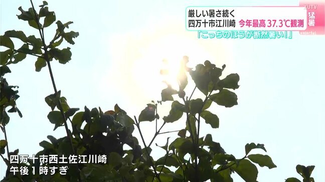 「こっちのほうが断然暑い」厳しい暑さ続く　高知県四万十市江川崎　2025年最高37.3℃観測|TBS NEWS DIG
