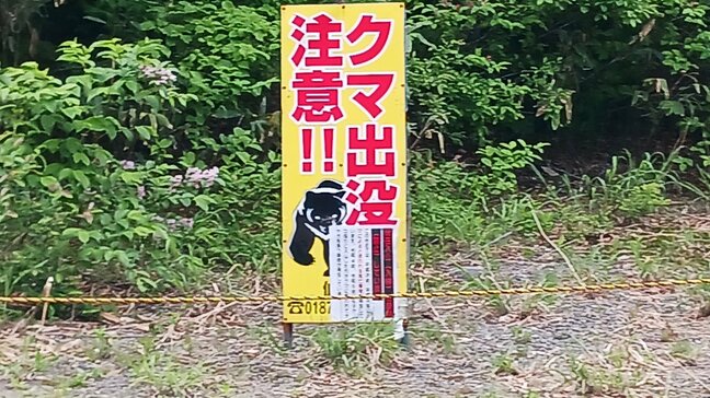 タケノコ採りの男性(77)発見に至らず 近くでクマの姿確認 立ち入り禁止区域で捜索は空中と拡声器による呼びかけ 秋田・仙北市|TBS NEWS DIG
