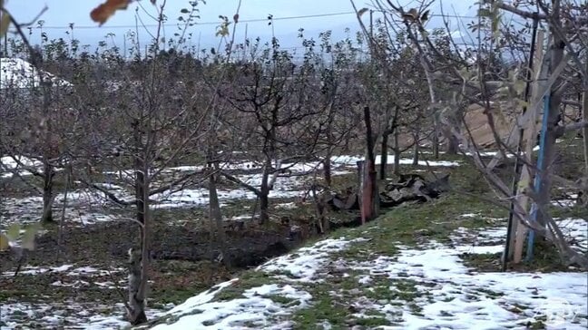 【詳報】リンゴ畑で物置小屋が全焼　約5m離れた場所にうつぶせ状態の男性の遺体　火事のあとから小屋の所有者の男性（86）と連絡取れず　青森県平川市|TBS NEWS DIG