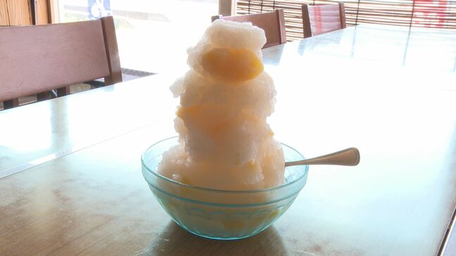 暑くなると冷たいものが欲しくなる 「かき氷」人気|TBS NEWS DIG