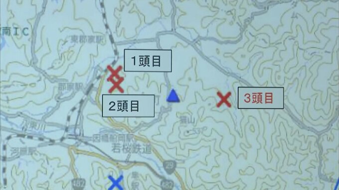野生イノシシの死体「豚熱」感染確認　ウイルスは土の中にも…靴の泥を落とすよう呼びかけ　|　BSSニュース | BSS山陰放送