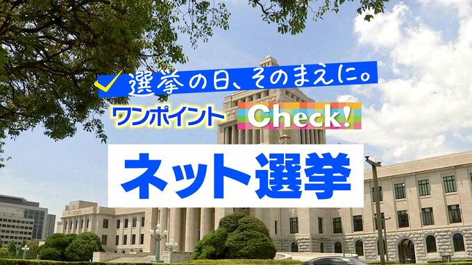 「ネット選挙」の注意点　～選挙の日、そのまえに。ワンポイントCheck!～　|　MRTニュース ｜ ＭＲＴ宮崎放送