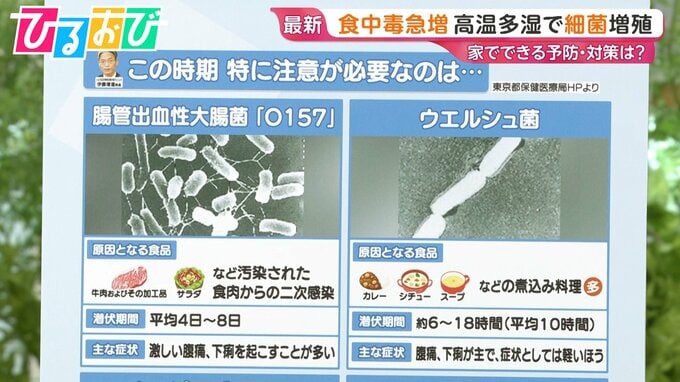 「これって食中毒？」悩んだ時の判断ポイントは…尿が出ない・口がカラカラ　街のギモンに医師が回答【ひるおび】|TBS NEWS DIG