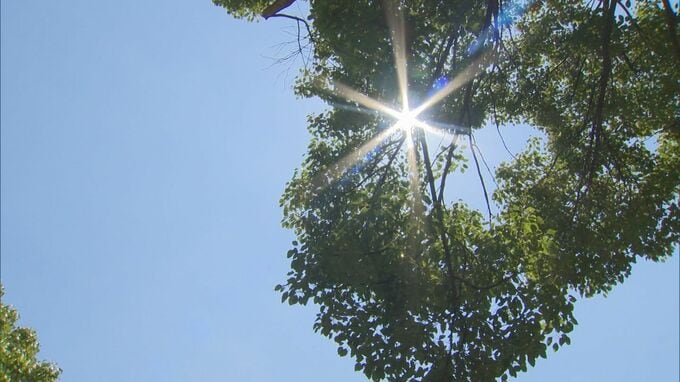 80代男性が散歩中に動けなくなり救急搬送…熱中症の疑い　体温に匹敵する暑さ「すごい暑いですね、鳥取県」|TBS NEWS DIG