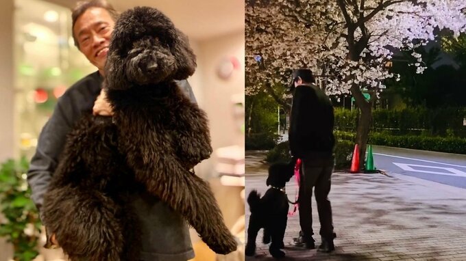【いぬ】遠藤憲一さん　愛犬・クロミちゃんと夜桜散歩も「チラ見しかできず」　愛犬優先の遠藤さんにフォロワー萌える|TBS NEWS DIG