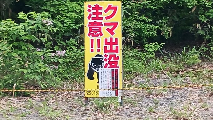 タケノコ採りの男性(77)発見に至らず　近くでクマの姿確認　立ち入り禁止区域で捜索は空中と拡声器による呼びかけ　秋田・仙北市|TBS NEWS DIG
