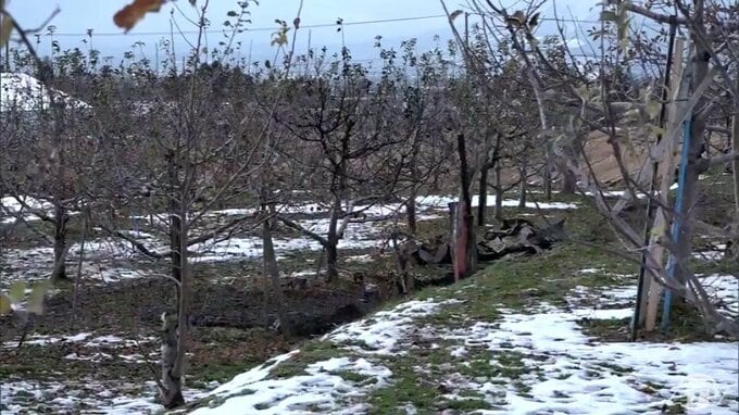 【詳報】リンゴ畑で物置小屋が全焼　約5m離れた場所にうつぶせ状態の男性の遺体　火事のあとから小屋の所有者の男性（86）と連絡取れず　青森県平川市　|　青森のニュース│ATV NEWS│青森テレビ