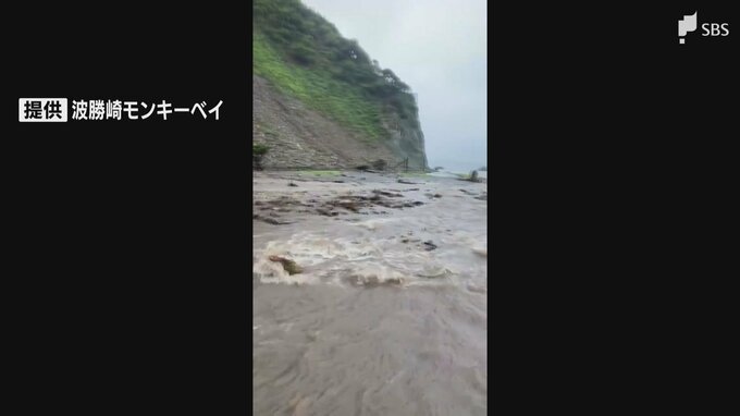 「とてもじゃないけど開園できない」ダブル台風で雨脚強まる 南伊豆町の観光スポット「波勝崎モンキーベイ」に土砂流入　|　静岡のニュース | SBSNEWS | 静岡放送