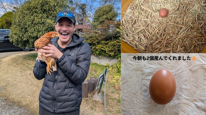 【照英】「今朝も2個」輝くばかりの卵を投稿　愛鶏たちの産卵　順調に続く　今月には3羽全てが初産卵|TBS NEWS DIG