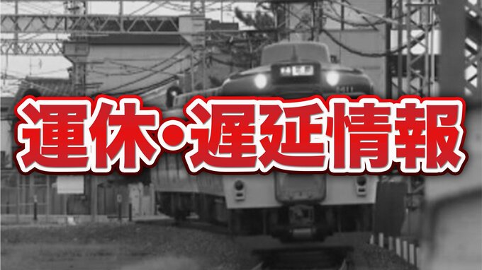 大阪・奈良など広い範囲の路線で運転見合わせ　近畿日本鉄道　|　MBSニュース | 関西の最新ニュースを分かりやすく。