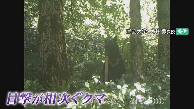 クマ「緊急銃猟」の避難訓練 住民周知14分で完了 石川・加賀市　|　石川県のニュース｜MRO北陸放送