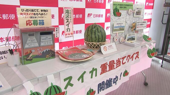 「スイカの重さを当てると滝沢スイカがもらえる」　スイカ重量当てクイズ　盛岡市|TBS NEWS DIG