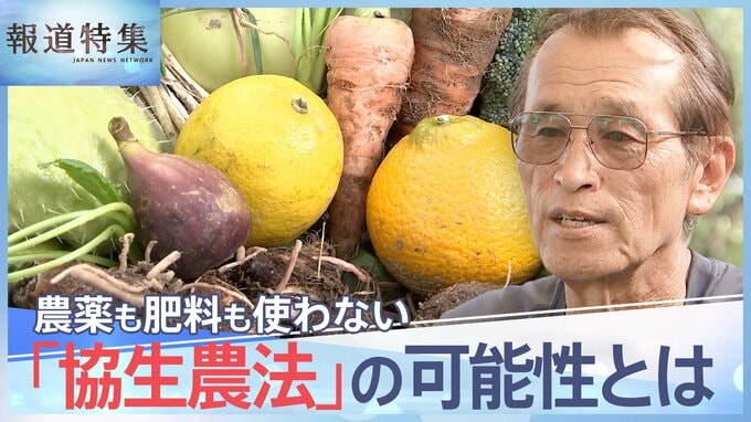 農薬・肥料使わず、土も耕さない、多様な作物を育てる「協生農法」の可能性とは【報道特集】|TBS NEWS DIG
