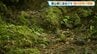 【クマ出没】登山者の男性に向かってくるクマ、撃退スプレー噴射で逃亡　去年26歳男性が襲われ死亡した羅臼岳　すべての登山道を緊急閉鎖　北海道知床半島　|　北海道のニュース｜HBC北海道放送