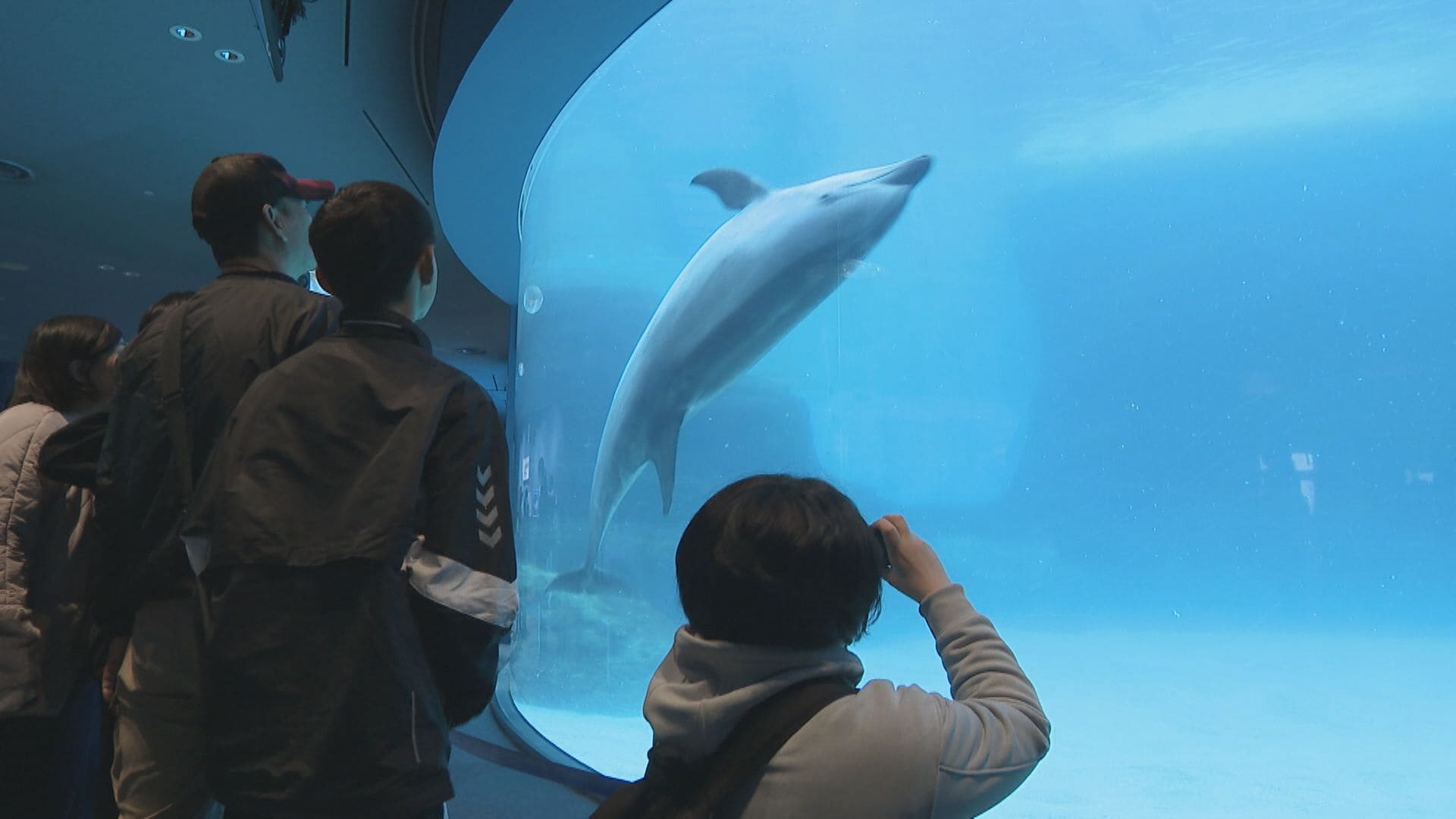 水槽から水が… “老朽化”に直面する名古屋港水族館 改修計画が｢予期せぬ