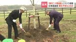 桜名所「静内二十間道路桜並木」で植樹 開花予想は4月26日 約7キロの道路の両側に2000本以上のエゾヤマザクラ|TBS NEWS DIG