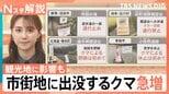市街地に出没「常識が通用しないクマ」全国的なエサ不足も まもなく冬眠も…十分警戒を【Nスタ解説】|TBS NEWS DIG
