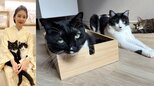 【 ねこ 】藤あや子の愛猫「距離感が近くなっていることをお知らせします」先住マル＆オレオと保護猫じゃこ天がくつろぐ|TBS NEWS DIG