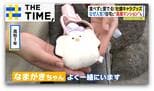なぜ人気？ぷっくりクリーミー色な「牡蠣キャラグッズ」続々【THE TIME,】 |TBS NEWS DIG