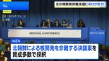 北朝鮮の核開発を非難する決議案 ロシアと中国などが反対し全会一致での採択ならず IAEA年次総会|TBS NEWS DIG