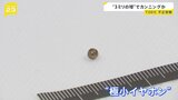 約3ミリ金色の球体 正体は“極小イヤホン”　TOEICカンニング問題 組織的なカンニングの手口が明らかに|TBS NEWS DIG
