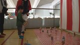ハイハイレースに輪投げや射的も　清里丘の公園でお正月こども祭り|TBS NEWS DIG