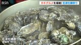 「プリプリです」カキフライにカキごはんも… 旬のカキを堪能できる『佐渡牡蠣祭り』|TBS NEWS DIG