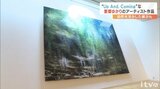新進気鋭アーティスト 「自然光」生かした展示とは? | 愛媛のニュース - Nスタえひめ|あいテレビは6チャンネル
