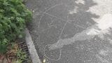 1日の “小学生ひき逃げ事件” で警察が訂正「事故はなかった」 |TBS NEWS DIG
