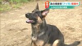 人の6000倍の嗅覚「鼻の捜査官」デビュー目指し奮闘 大先輩の遺志を継げ | 新潟のニュース・天気|BSN NEWS|BSN新潟放送